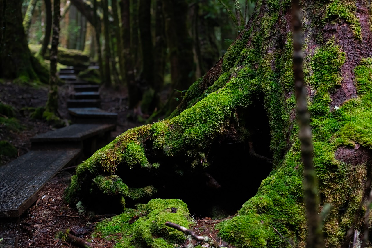 P5 NrGbmycEra89Rkyi0 nqz3uO VVo070EY yfKFfjwJZt4d5PkrjckLmgRvMRySAB9R4lz2MElXkHFiyDUnyZ9IBzL0NUcxisIkBPlvaS2NTHxIqJ5w7 FuPm0RGeFgaxGeyjqAS8K7p gIVFHLQ