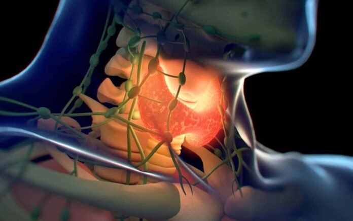 I 12 peggiori interferenti endocrini nel tuo corpo
