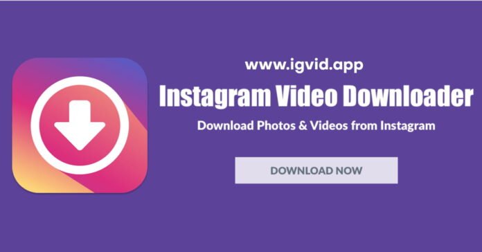 Downloader di Instagram: scarica e salva facilmente i contenuti multimediali di Instagram

