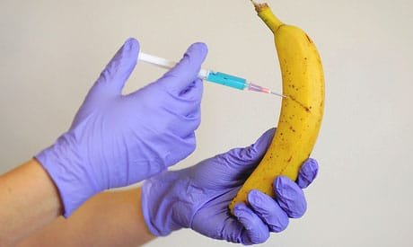 OGM collegati alla SIDS, al botulismo e all'aumento dei tassi OGM collegati alla SIDS, al botulismo e all'aumento dei tassi di infertilità